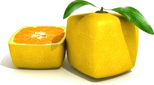 citronj CLsystem
