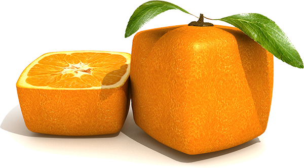 orange CLsystem